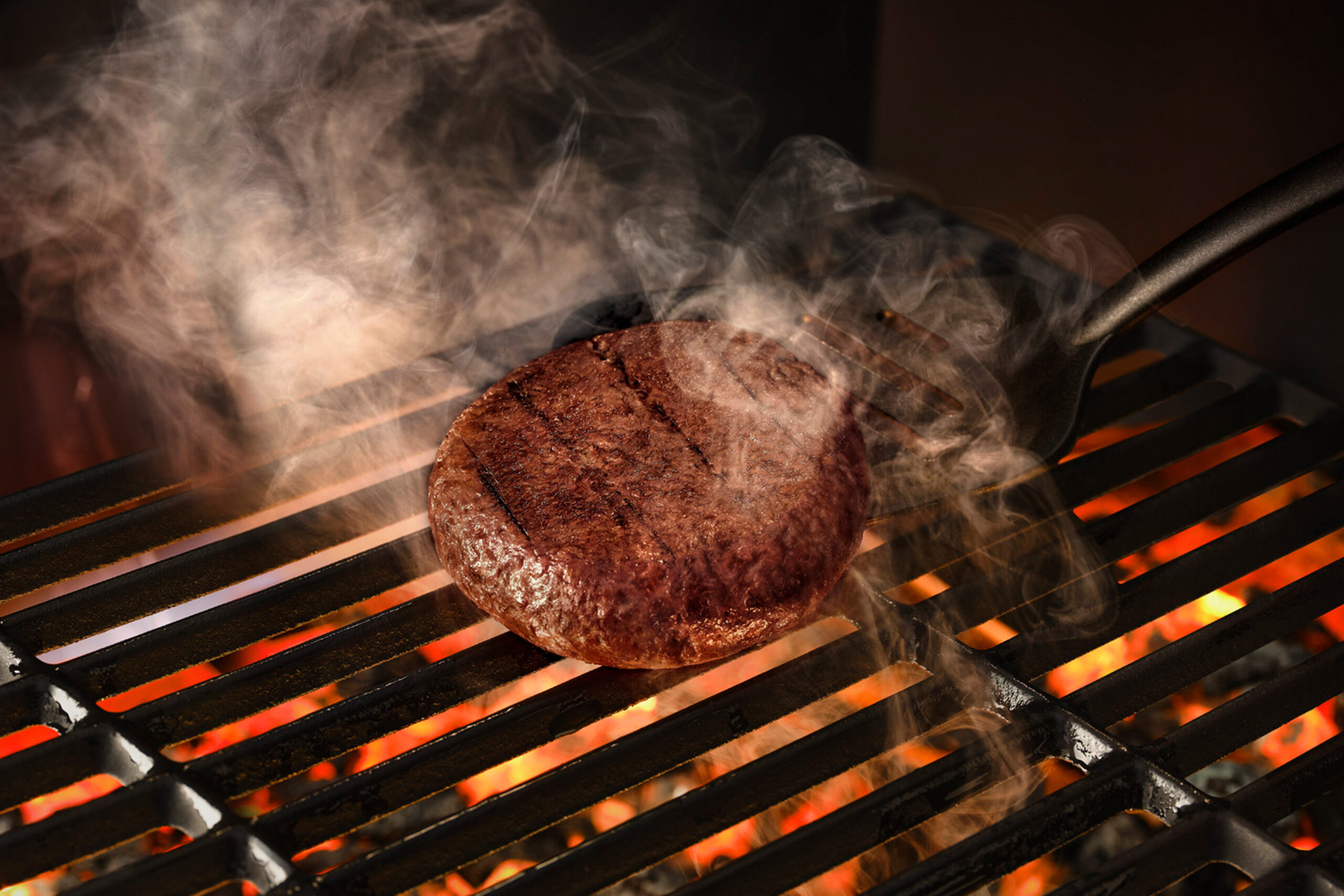 Mosa Meat images provided by Tim van de Rijdt. CC BY NC 4.0